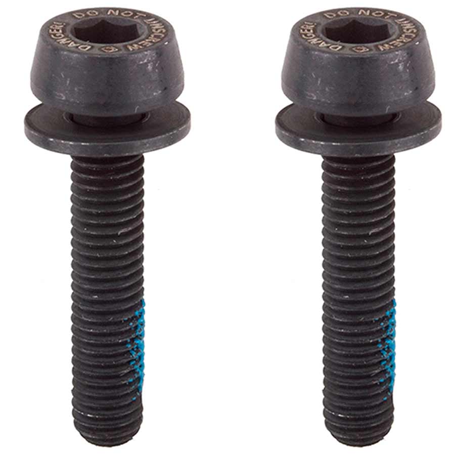 Rear Caliper Mounting Screws