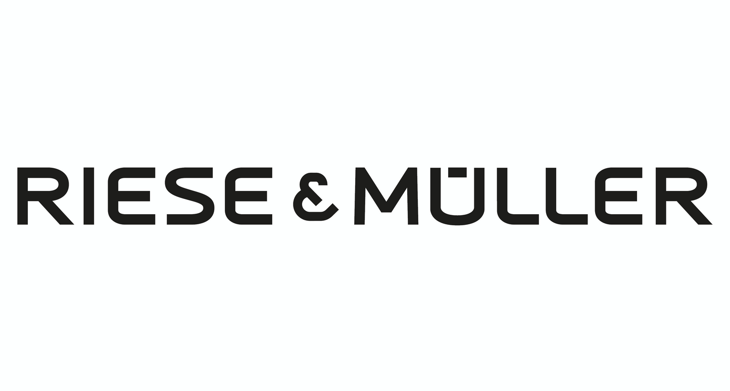 Riese & Müller Packster2 70 CT