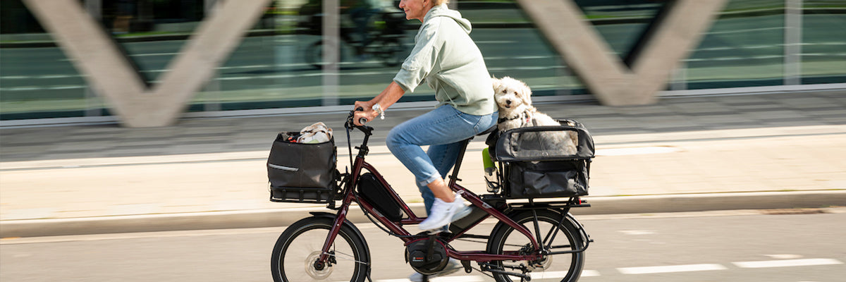Animal Bike, Bike For Animals, Dog Carrier, Cat Carrier, Electric Cargo Bike for Dogs