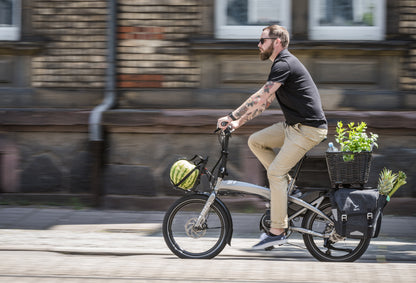 Tern Vektron S10